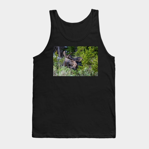 Smile for the Camera Tank Top by gdb2